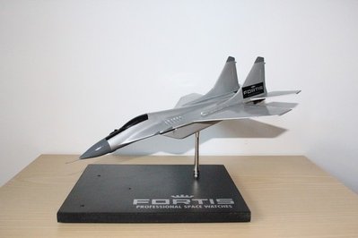 FOM MIG-29.JPG