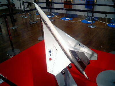 JAL 2707 100 display.jpg